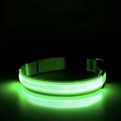 VOYAGLOW | LED Light Dog Collar - VoyaPets